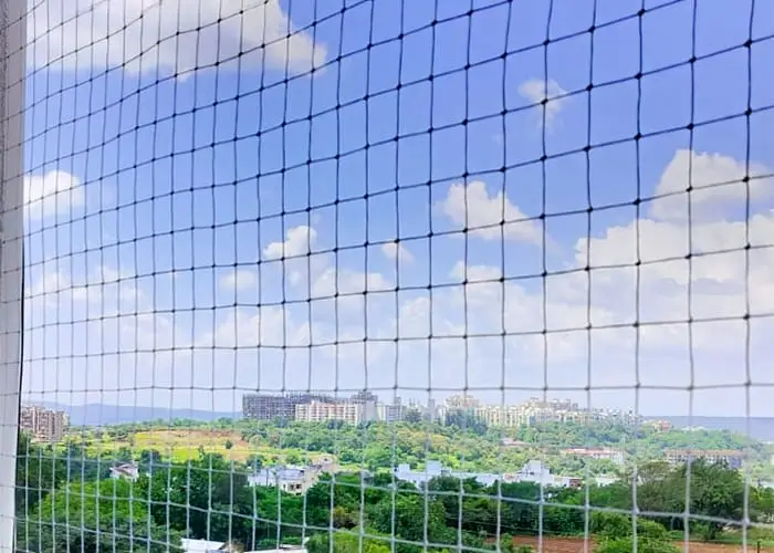Anti Pigeon Net Pune