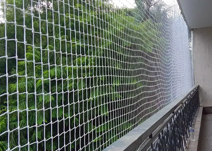 Services 8 Residential Bird Netting